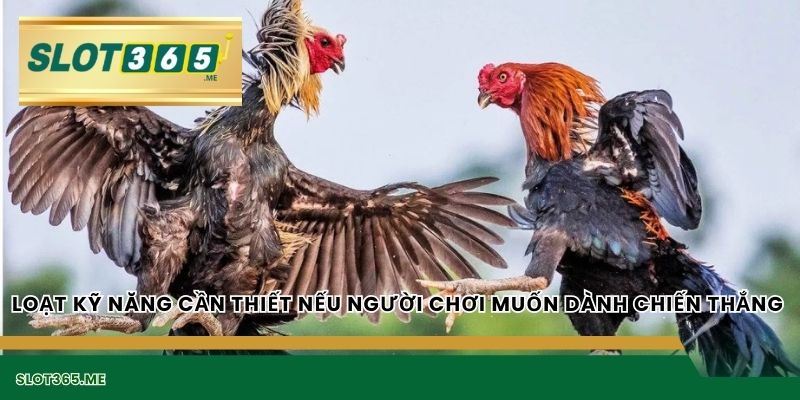 Loạt kỹ năng cần thiết nếu người chơi muốn dành chiến thắng